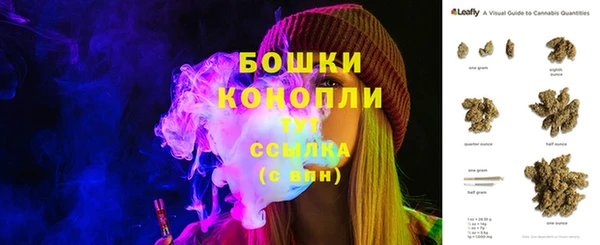 стаф Верея
