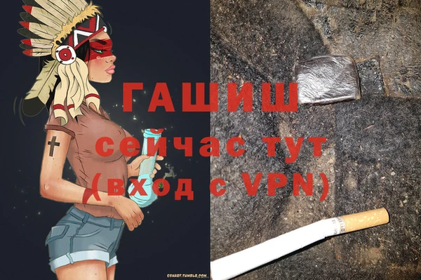 стаф Верея