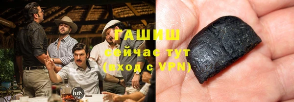 стаф Верея