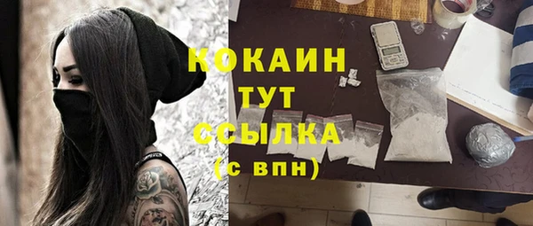 стаф Верея